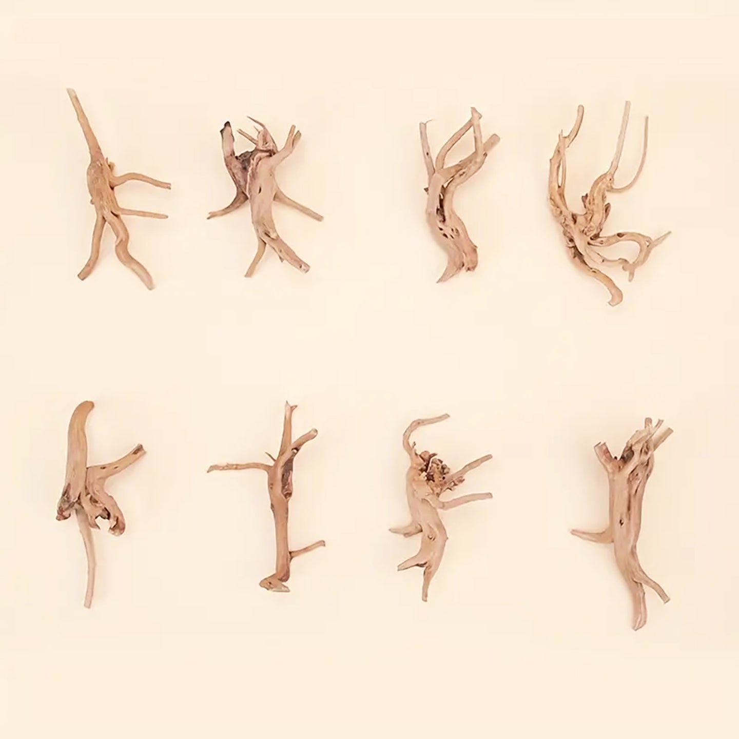 Prachtig aquarium Spiderwood: 2 stuks natuurlijke driftwood decoratie (S-formaat).