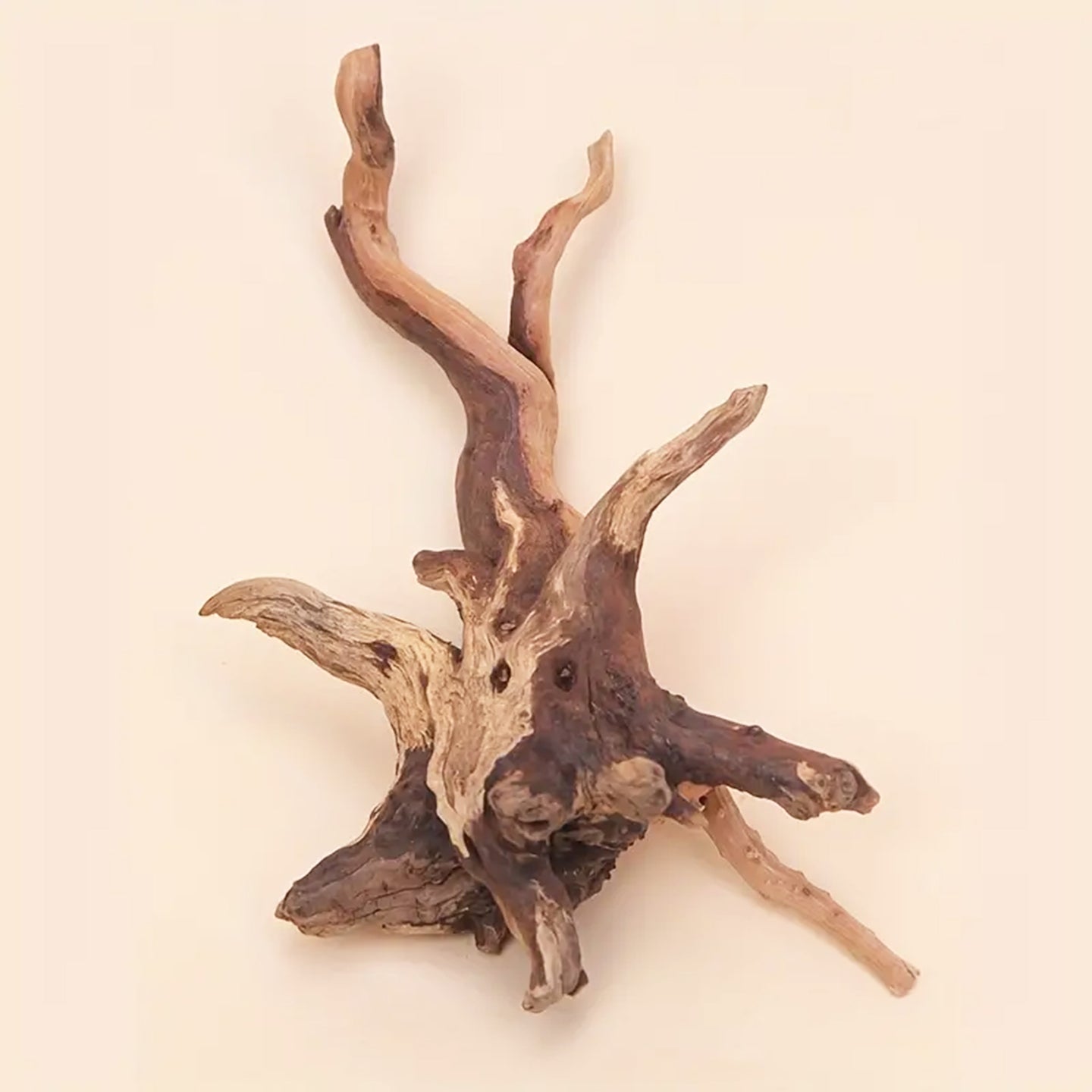 Prachtig aquarium Spiderwood: 2 stuks natuurlijke driftwood decoratie (S-formaat).