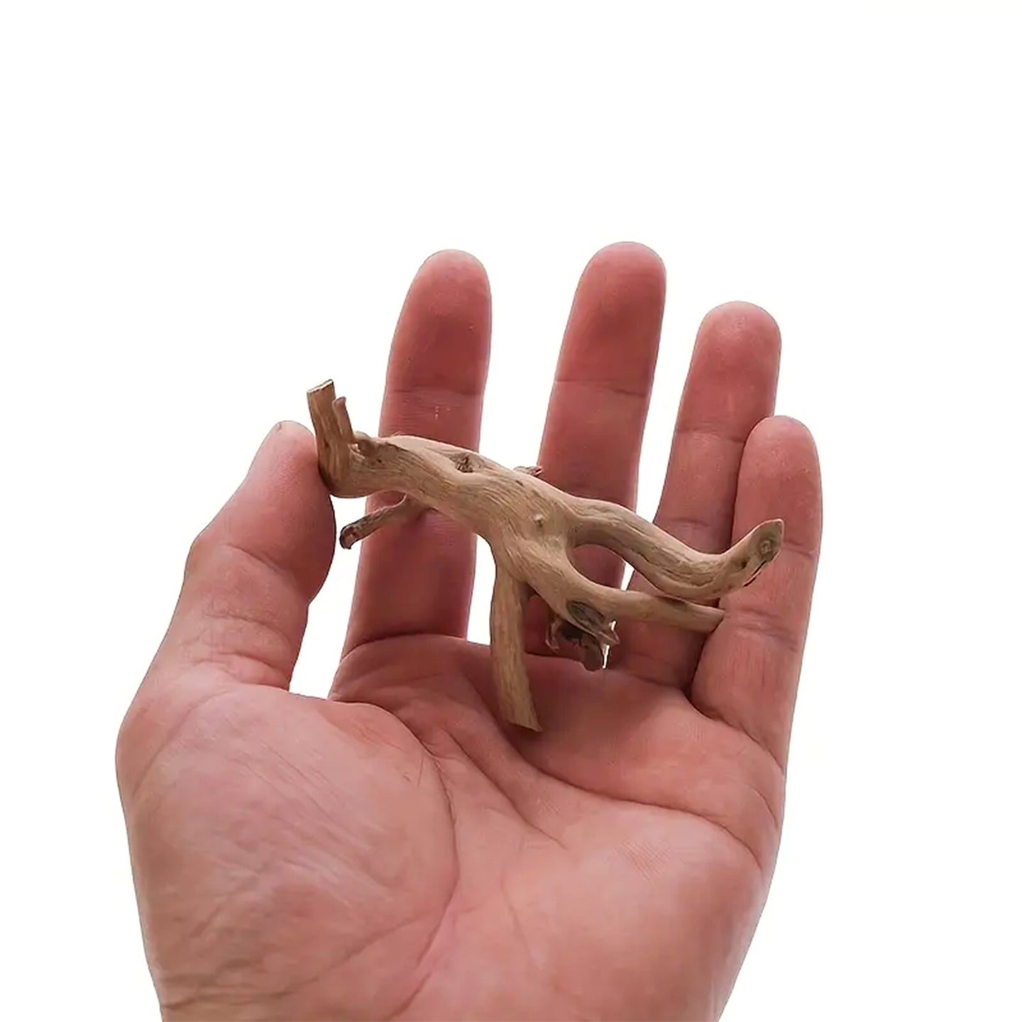 Prachtig aquarium Spiderwood: 2 stuks natuurlijke driftwood decoratie (S-formaat).