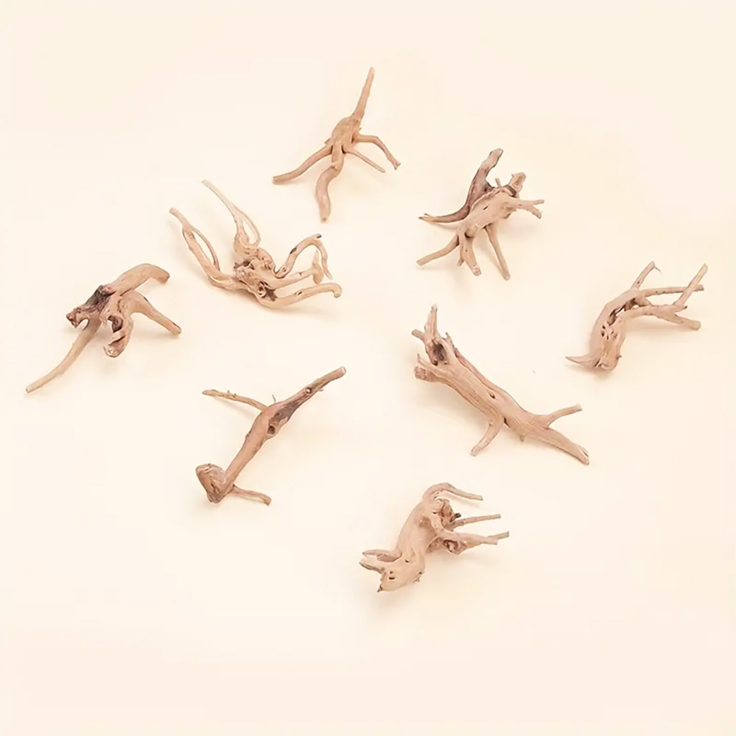 Prachtig aquarium Spiderwood: 2 stuks natuurlijke driftwood decoratie (S-formaat).