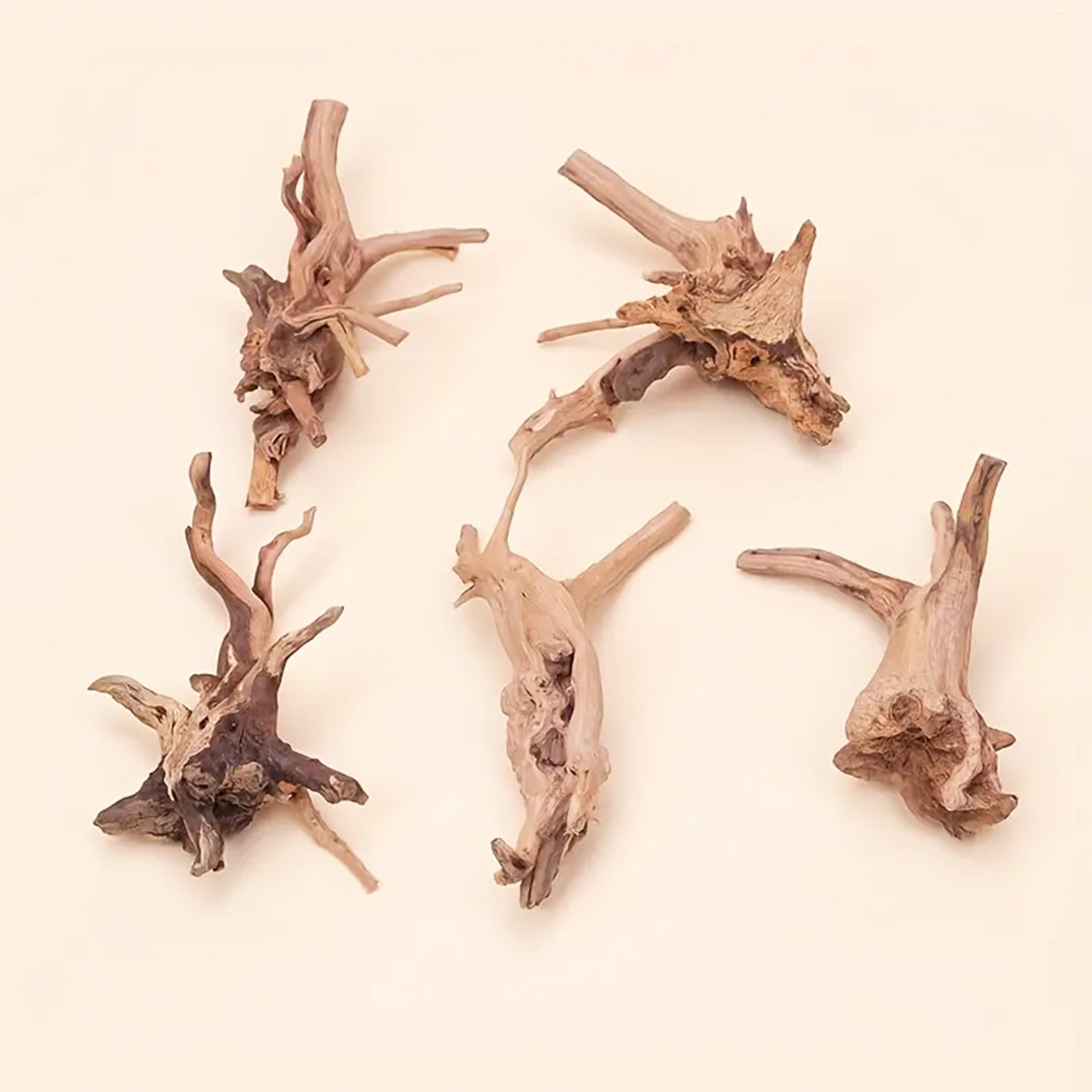Prachtig aquarium Spiderwood: 2 stuks natuurlijke driftwood decoratie (S-formaat).