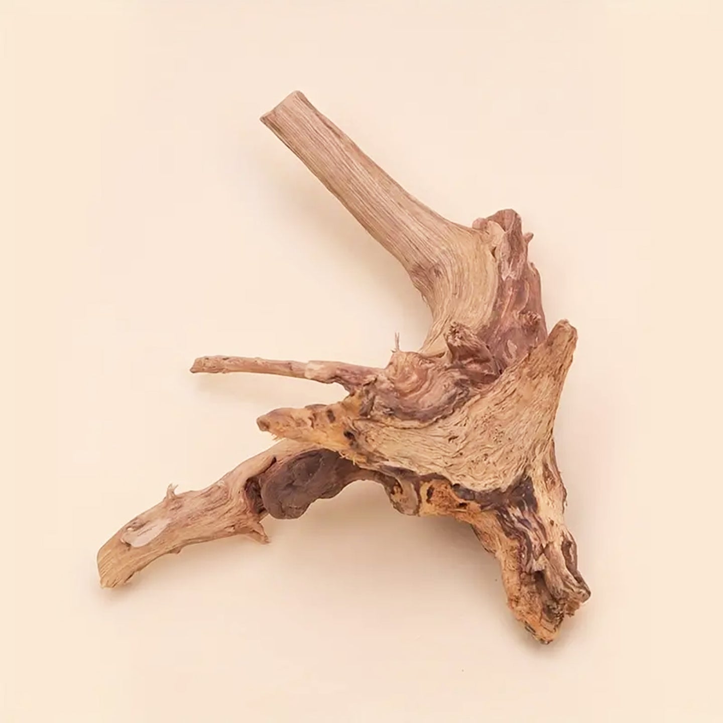 Prachtig aquarium Spiderwood: 2 stuks natuurlijke driftwood decoratie (S-formaat).