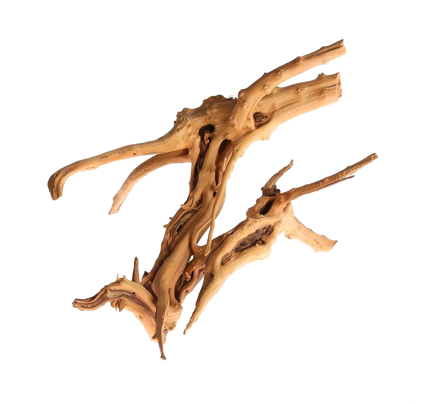 Aquarium Spiderwood (M) - Driftwood - Natuurlijke Houten Decoratie voor Je Aquarium - Uniek en Sfeervol - Koop Nu voor een Prachtig Onderwaterlandschap!