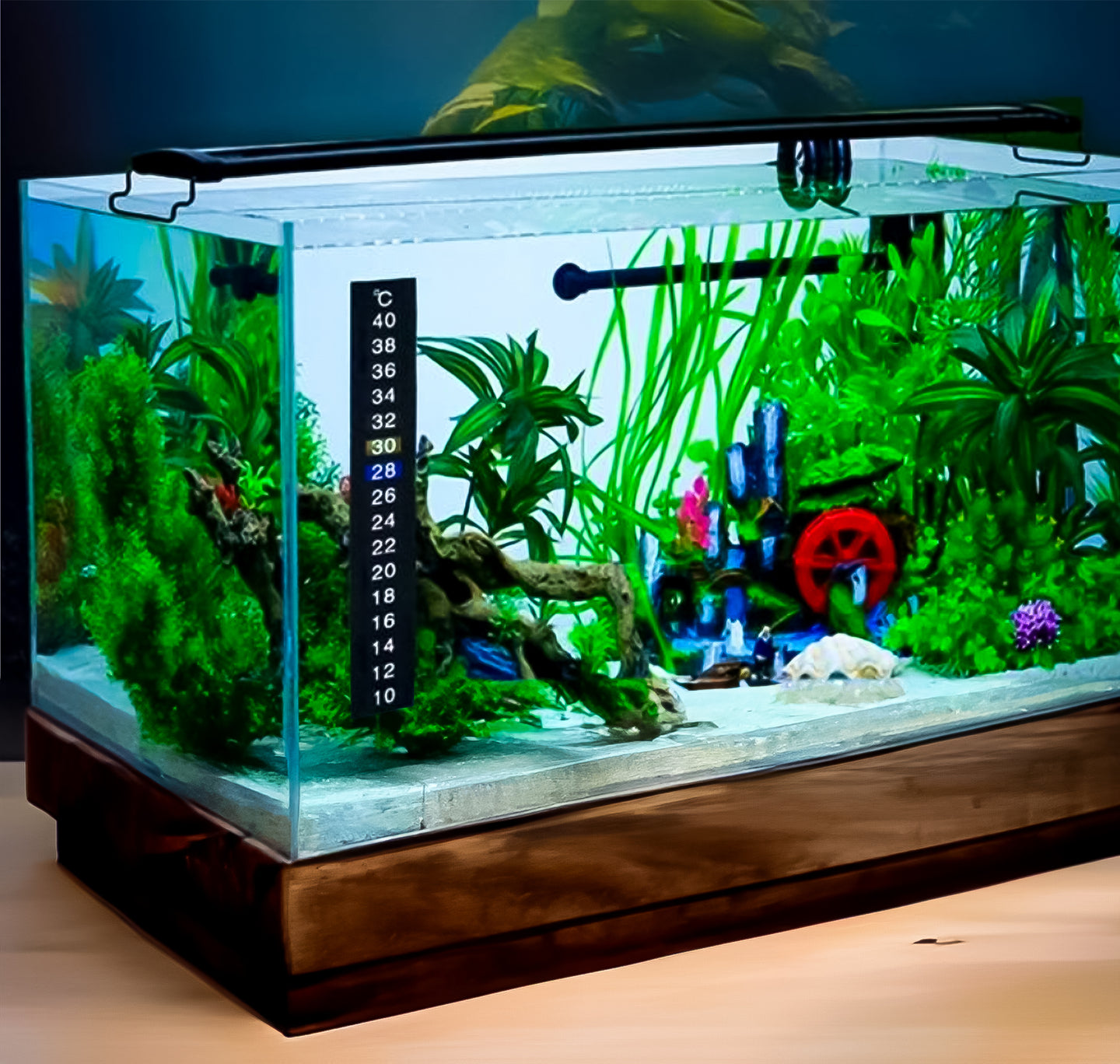 LCD Aquarium Thermometer - Kleurveranderende Strip - Zwart - Nauwkeurige Temperatuurmeting voor Vissen en Aquariums - Koop Nu voor Optimaal Viscomfort en Onderhoud!