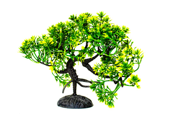 Een realistische kunstplant in de vorm van een Japanse boom, met afmetingen van 21 cm x 15 cm, geschikt voor gebruik in aquaria en terraria als decoratief element. Deze kunstmatige plant voegt een natuurlijke uitstraling toe aan het leefgebied van vissen en reptielen, zonder onderhoud of speciale verzorging. Gemaakt van hoogwaardig materiaal voor langdurig gebruik en een levendige uitstraling.