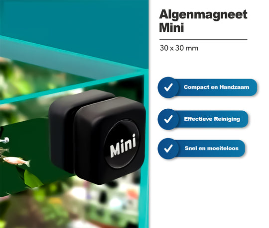 Houd uw aquarium glashelder met onze Mini Aquarium Algen Magneet! Verwijder algen en vuil moeiteloos van de wanden voor een heldere en gezonde omgeving voor uw vissen. Compact formaat voor eenvoudig gebruik in kleine tanks. Bestel nu voor een effectieve reiniging en een stralend schoon aquarium!