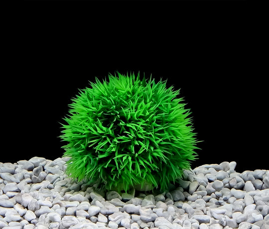 Voeg een vleugje groen toe aan uw aquarium met onze Rondvormige Kunstplant - Afmeting 9x8 cm! Creëer een natuurlijke uitstraling en een gezellige sfeer voor uw vissen met deze realistische decoratie. Gemaakt van hoogwaardige materialen voor duurzaamheid en veiligheid. Bestel nu voor een onderhoudsvrije en toch esthetisch aantrekkelijke toevoeging aan uw aquascape!