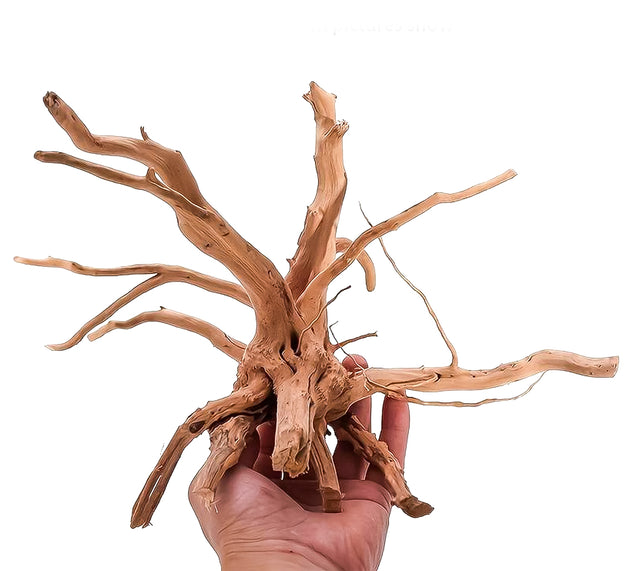 Transformeer uw aquarium met onze XL Aquarium Spiderwood - natuurlijke Driftwood decoratie! Voeg karakter en schoonheid toe aan uw onderwaterwereld met dit opvallende stuk hout. Creëer een natuurlijk ogende omgeving voor uw vissen en planten. Bestel nu voor een unieke en sfeervolle aquascape!