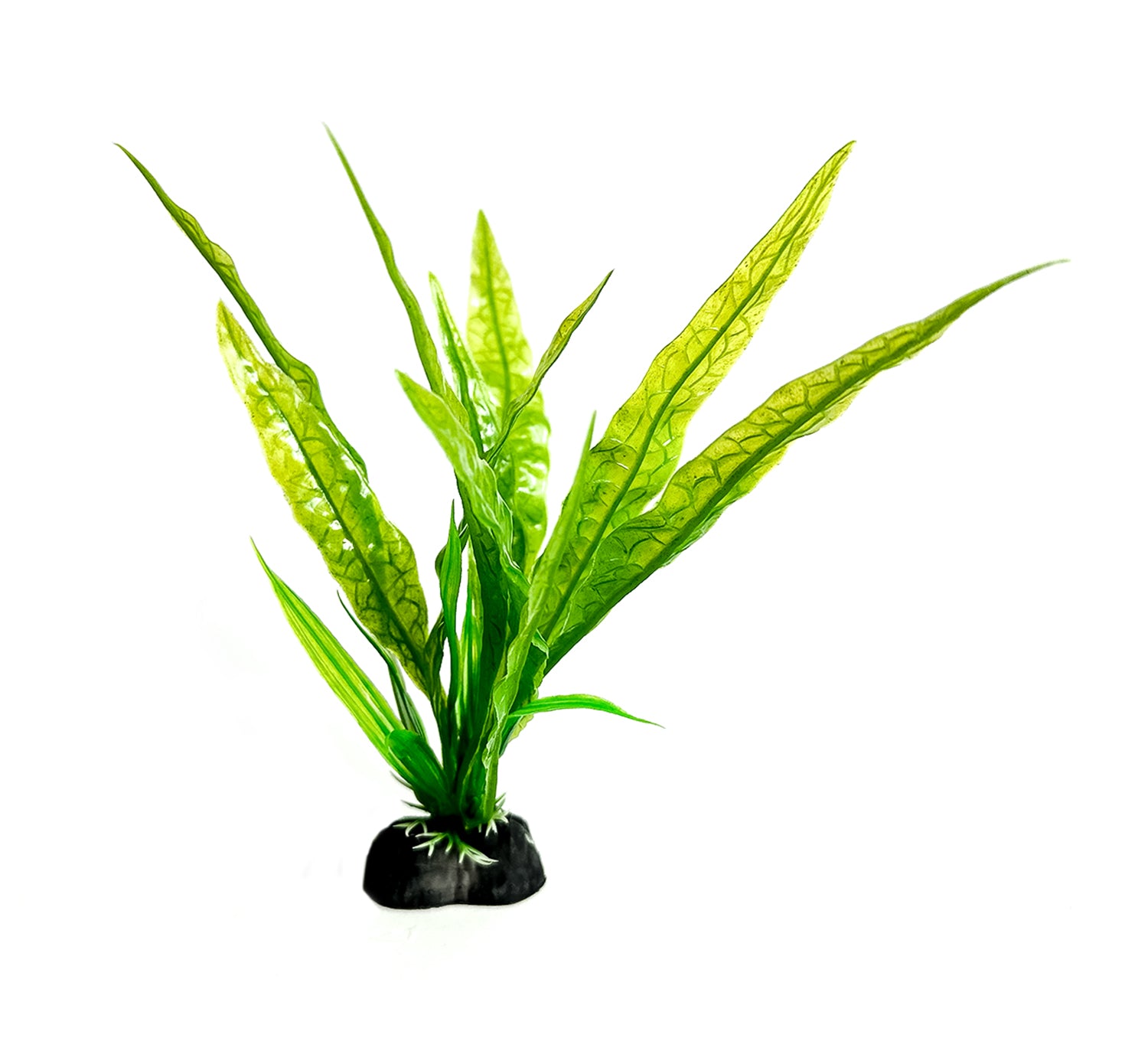 Realistische groene waterplant met lange bladeren, een kunstmatig alternatief voor zwaardplanten in aquaria. Deze 18 cm lange nepplant met realistisch zeewier biedt een ideale aquatische decoratie zonder onderhoud.