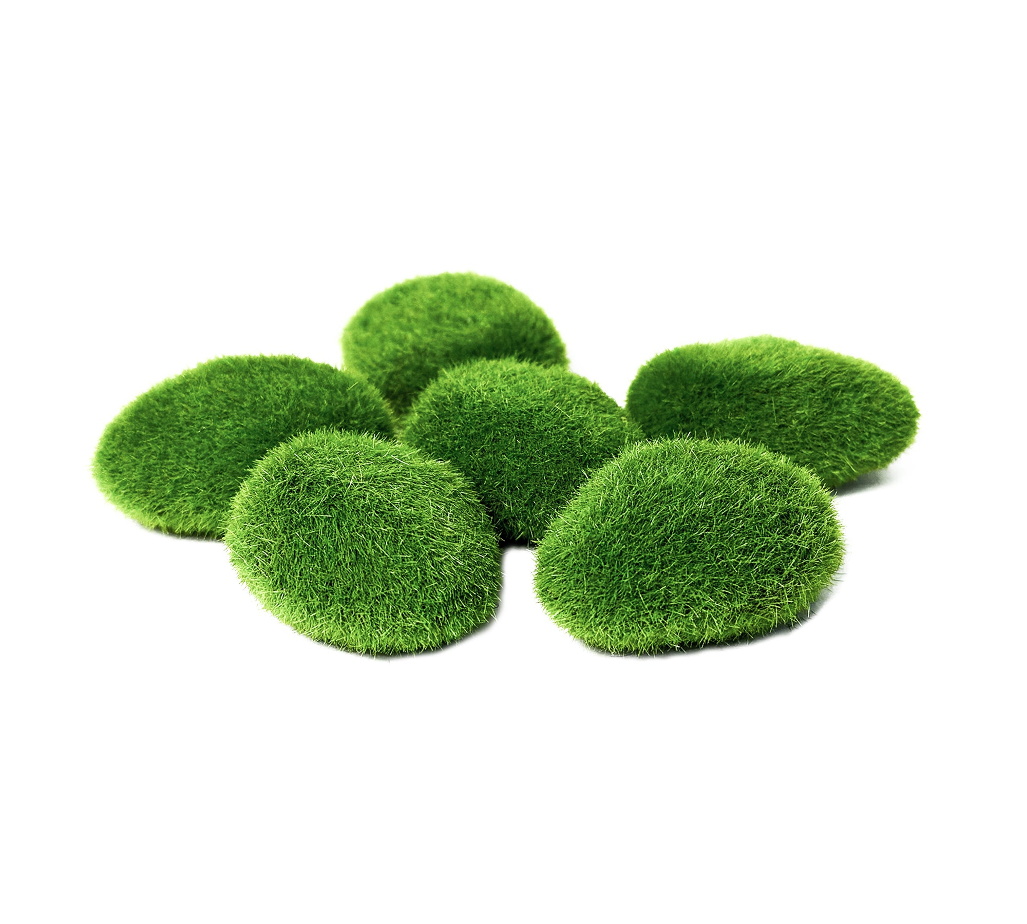 Creëer een weelderige onderwateromgeving met onze Kunst Mosbollen - Chladoflora Aegagropila (6 stuks)! Voeg een vleugje natuurlijke schoonheid toe aan uw aquarium met deze levensechte plantoptie. Elk detail is zorgvuldig vervaardigd voor een realistische uitstraling. Bestel nu voor een prachtige aquatische setting die zowel visueel aantrekkelijk als gemakkelijk te onderhouden is.