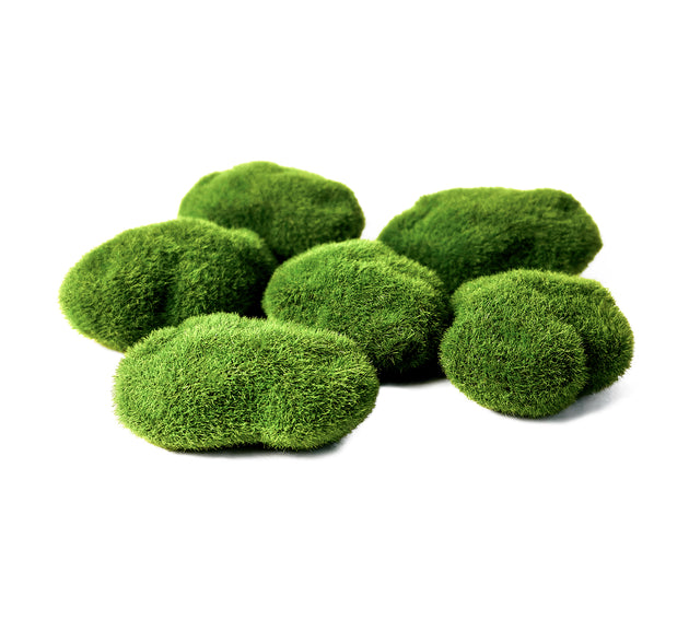 Set van 6 waterplant kunst mosbollen, perfect voor het toevoegen van groen en levensechte uitstraling aan uw aquarium zonder onderhoud.
