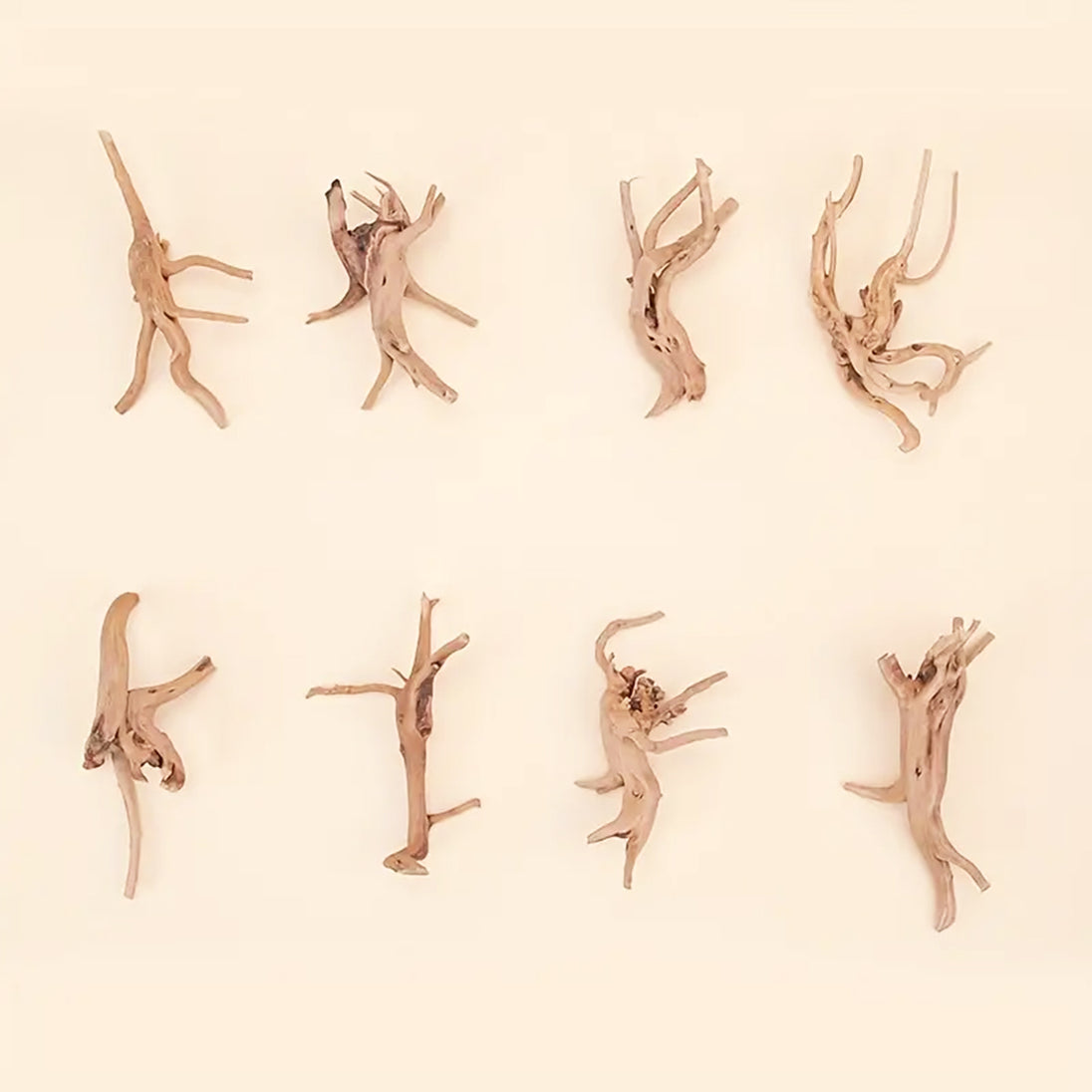 Prachtig aquarium Spiderwood: 2 stuks natuurlijke driftwood decoratie (S-formaat).
