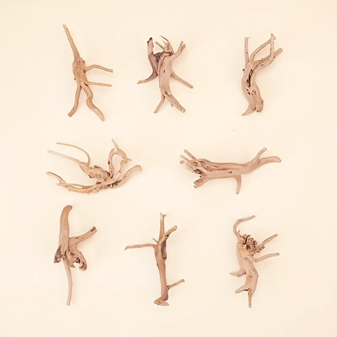 Prachtig aquarium Spiderwood: 2 stuks natuurlijke driftwood decoratie (S-formaat).