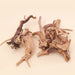 Prachtig aquarium Spiderwood: 2 stuks natuurlijke driftwood decoratie (S-formaat).
