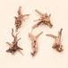 Prachtig aquarium Spiderwood: 2 stuks natuurlijke driftwood decoratie (S-formaat).