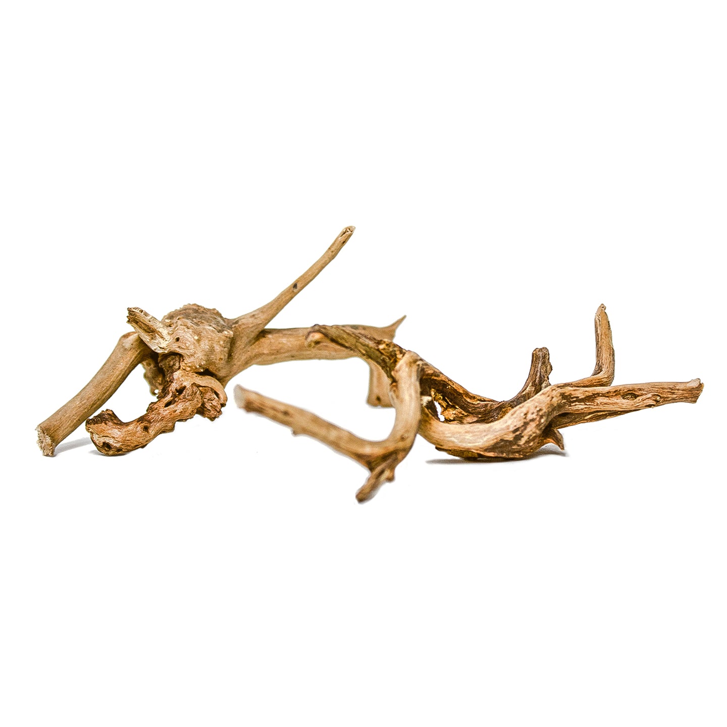 Prachtig aquarium Spiderwood: 2 stuks natuurlijke driftwood decoratie (S-formaat).