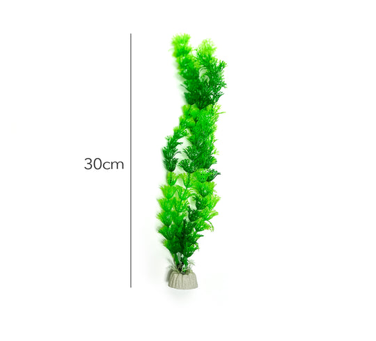 Een set van twee waterpest kunstplanten, elk 30 cm lang. Deze realistische kunstplanten bootsen de uitstraling van echte waterpest na en voegen een natuurlijke esthetiek toe aan het aquarium. Perfect voor het creëren van een weelderige onderwateromgeving voor vissen en andere aquariumbewoners, zonder de noodzaak van onderhoud
