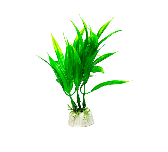 Een aquarium kunstplant van 30 cm in de vorm van Bleheri zeewier. Deze realistische kunstplant voegt een natuurlijke uitstraling toe aan het aquariumlandschap zonder onderhoud of speciale verzorging te vereisen. Ideaal voor het creëren van een levendige onderwateromgeving voor vissen en andere aquariumbewoners.