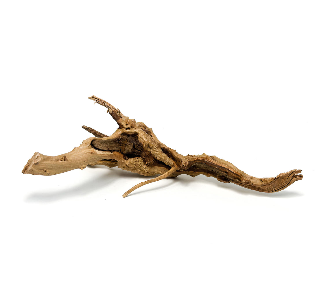 Transformeer uw aquarium met onze XL Aquarium Spiderwood - natuurlijke Driftwood decoratie! Voeg karakter en schoonheid toe aan uw onderwaterwereld met dit opvallende stuk hout. Creëer een natuurlijk ogende omgeving voor uw vissen en planten. Bestel nu voor een unieke en sfeervolle aquascape!
