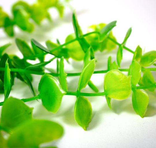 Premium Aquarium Kunstplant Bacopa australis - Realistische Onderwaterdecoratie met Lange Bladeren en Bloemen - 30cm - Verrijk je Aquarium met deze Kwaliteitskunstplant