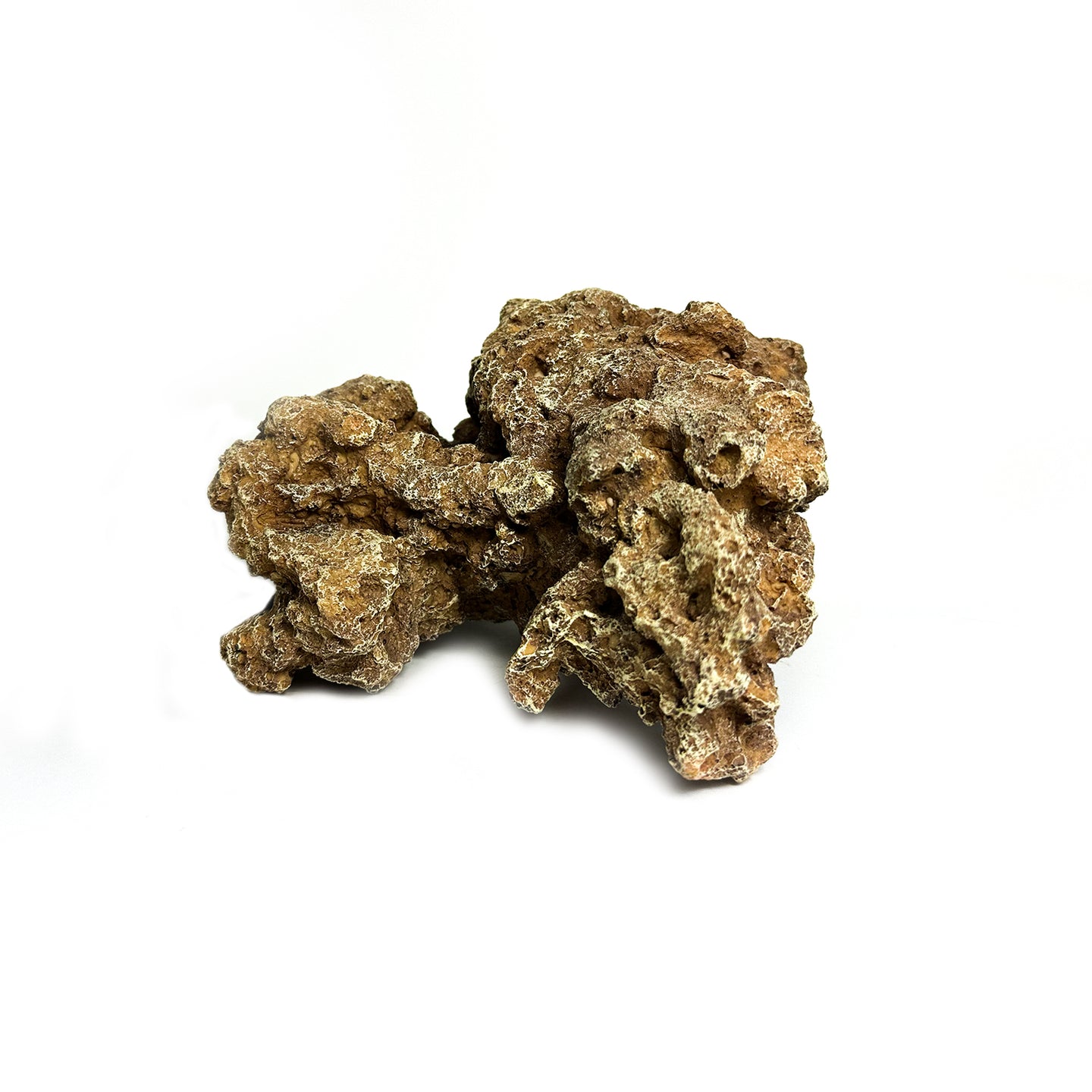 Natuurgetrouw decoratief ornament in de vorm van een Moon Steen, geschikt voor aquariums. De afmetingen zijn 24 x 23 x 14 cm. Dit zandkleurige ornament voegt een realistisch en natuurlijk element toe aan je onderwateromgeving, ideaal voor tropische aquaria.
