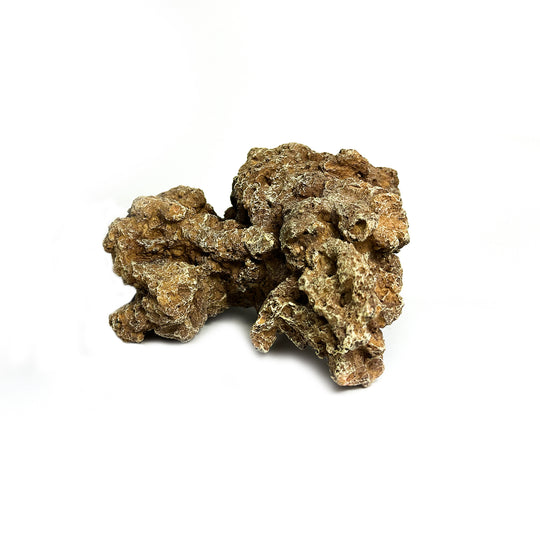 Natuurgetrouw decoratief ornament in de vorm van een Moon Steen, geschikt voor aquariums. De afmetingen zijn 24 x 23 x 14 cm. Dit zandkleurige ornament voegt een realistisch en natuurlijk element toe aan je onderwateromgeving, ideaal voor tropische aquaria.