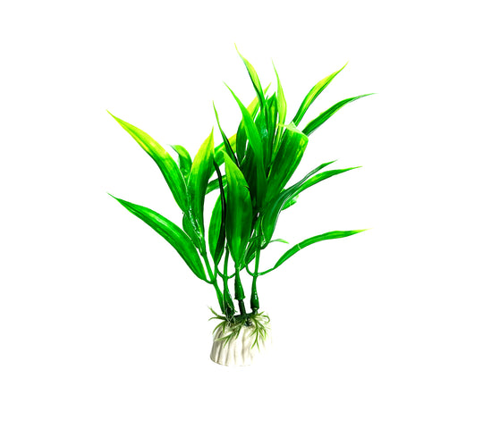 Een aquarium kunstplant van 30 cm in de vorm van Bleheri zeewier. Deze realistische kunstplant voegt een natuurlijke uitstraling toe aan het aquariumlandschap zonder onderhoud of speciale verzorging te vereisen. Ideaal voor het creëren van een levendige onderwateromgeving voor vissen en andere aquariumbewoners.