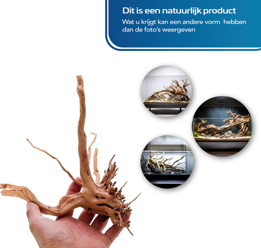 Transformeer uw aquarium met onze XL Aquarium Spiderwood - natuurlijke Driftwood decoratie! Voeg karakter en schoonheid toe aan uw onderwaterwereld met dit opvallende stuk hout. Creëer een natuurlijk ogende omgeving voor uw vissen en planten. Bestel nu voor een unieke en sfeervolle aquascape!