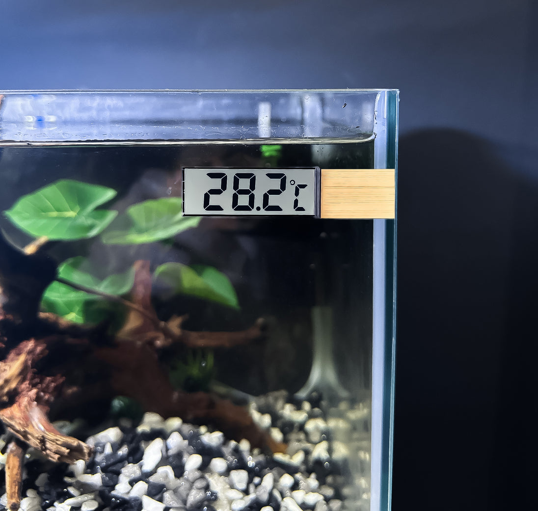 Voeg een vleugje elegantie toe aan uw aquarium met onze Klevende Digitale Aquarium Thermometer in Goud! Eenvoudig te bevestigen aan de buitenkant van uw tank, biedt deze thermometer nauwkeurige temperatuurmetingen met een stijlvolle uitstraling. Monitor de omgeving van uw vissen op een betrouwbare en verfijnde manier. Bestel nu voor een functionele en luxueuze toevoeging aan uw aquatische wereld!