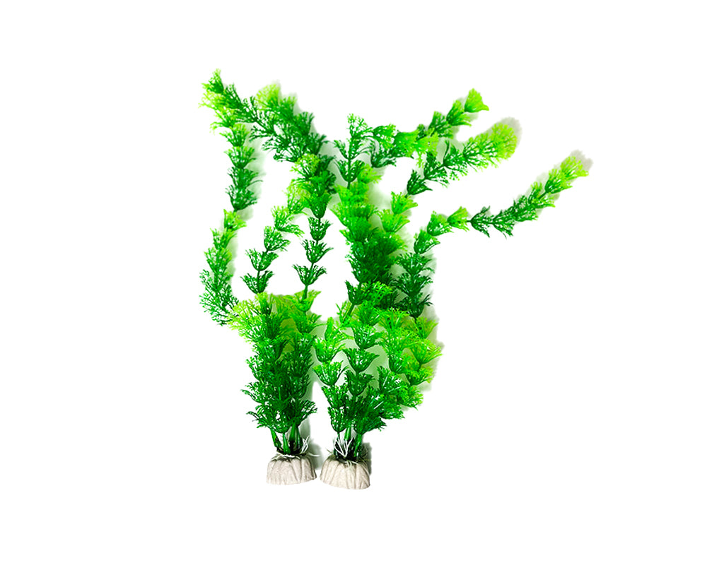 Een set aquarium kunstplanten in verschillende vormen en maten, ontworpen voor een natuurlijke uitstraling in aquaria. De kunstplanten zijn gemaakt van hoogwaardige, niet-giftige materialen en hebben levendige groene tinten. Ze zijn bevestigd op stevige stenen bases voor stabiliteit. Ideaal voor zowel zoet- als zoutwateraquaria, deze decoratieve planten dragen bij aan een realistische onderwateromgeving.