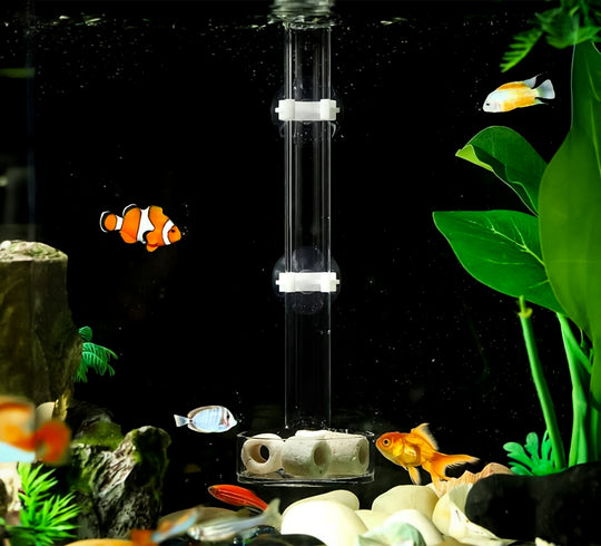 Nieuwe plastic voederplaat en voederbuis voor aquarium - optimaliseer voedingsproces voor vissen, eenvoudige voeding met handige voederplaat en buis, geschikt voor diverse aquariumformaten en vissoorten.