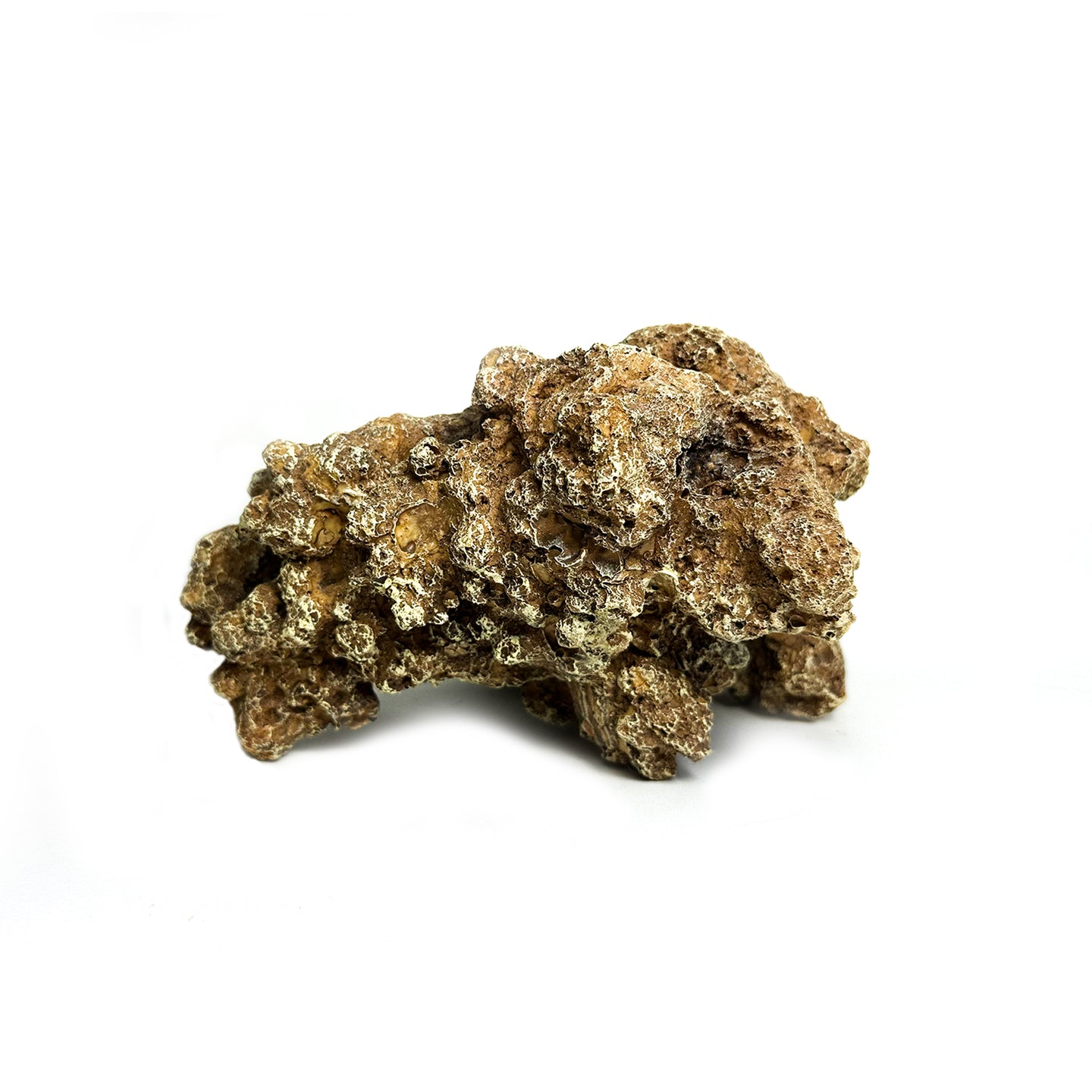 Natuurgetrouw decoratief ornament in de vorm van een Moon Steen, geschikt voor aquariums. De afmetingen zijn 24 x 23 x 14 cm. Dit zandkleurige ornament voegt een realistisch en natuurlijk element toe aan je onderwateromgeving, ideaal voor tropische aquaria.