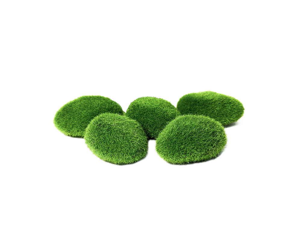 Een set aquarium kunstplanten in verschillende vormen en maten, ontworpen voor een natuurlijke uitstraling in aquaria. De kunstplanten zijn gemaakt van hoogwaardige, niet-giftige materialen en hebben levendige groene tinten. Ze zijn bevestigd op stevige stenen bases voor stabiliteit. Ideaal voor zowel zoet- als zoutwateraquaria, deze decoratieve planten dragen bij aan een realistische onderwateromgeving.