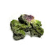 Natuurgetrouw decoratief ornament in de vorm van een Moon Steen, geschikt voor aquariums. De afmetingen zijn 24 x 23 x 14 cm. Dit ornament voegt een realistisch en kleurrijk element toe aan je onderwateromgeving, ideaal voor tropische aquaria.
