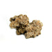 Natuurgetrouw decoratief ornament in de vorm van een Moon Steen, geschikt voor aquariums. De afmetingen zijn 24 x 23 x 14 cm. Dit zandkleurige ornament voegt een realistisch en natuurlijk element toe aan je onderwateromgeving, ideaal voor tropische aquaria.