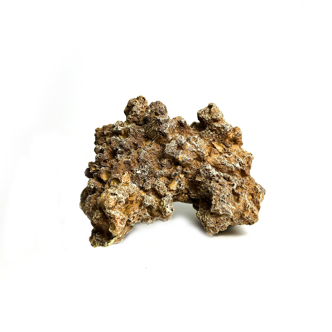Natuurgetrouw decoratief ornament in de vorm van een Moon Steen, geschikt voor aquariums. De afmetingen zijn 24 x 23 x 14 cm. Dit zandkleurige ornament voegt een realistisch en natuurlijk element toe aan je onderwateromgeving, ideaal voor tropische aquaria.