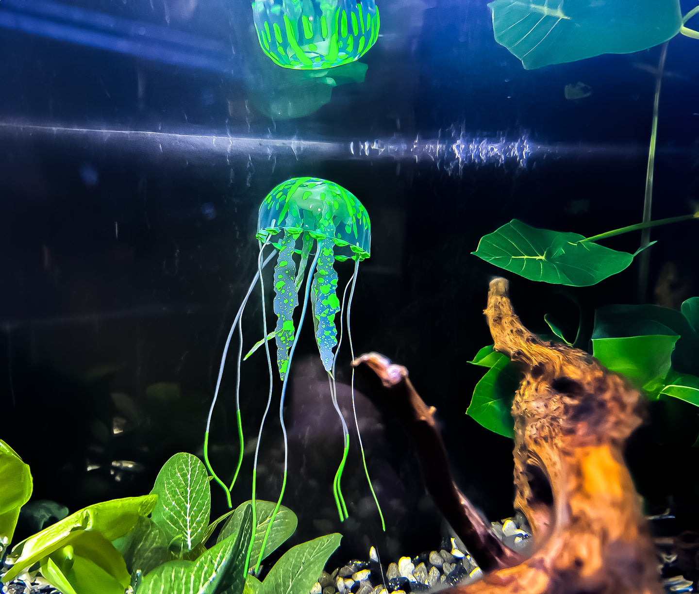 Voeg een vleugje magie toe aan uw aquarium met onze Kunstmatige Kwal in Blauw! Creëer een betoverende onderwaterwereld met deze levensechte decoratie. Gemaakt van hoogwaardige materialen voor duurzaamheid en veiligheid voor uw vissen. Bestel nu voor een kleurrijk en intrigerend element in uw aquascape!]