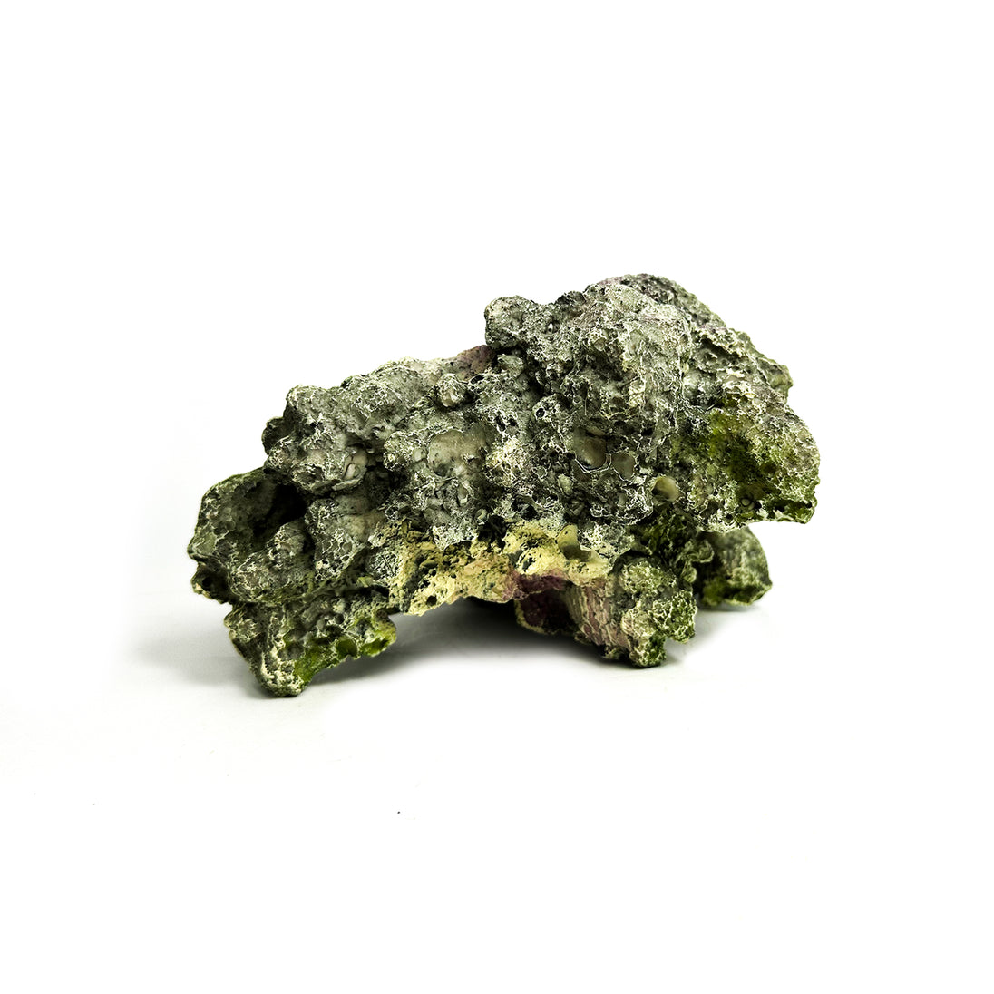Natuurgetrouw decoratief ornament in de vorm van een Moon Steen, geschikt voor aquariums. De afmetingen zijn 24 x 23 x 14 cm. Dit ornament voegt een realistisch en kleurrijk element toe aan je onderwateromgeving, ideaal voor tropische aquaria.