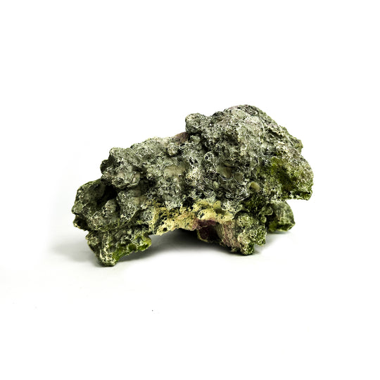 Natuurgetrouw decoratief ornament in de vorm van een Moon Steen, geschikt voor aquariums. De afmetingen zijn 24 x 23 x 14 cm. Dit ornament voegt een realistisch en kleurrijk element toe aan je onderwateromgeving, ideaal voor tropische aquaria.