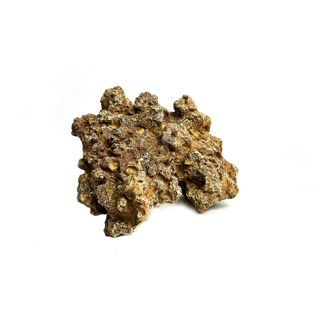 Natuurgetrouw decoratief ornament in de vorm van een Moon Steen, geschikt voor aquariums. De afmetingen zijn 24 x 23 x 14 cm. Dit zandkleurige ornament voegt een realistisch en natuurlijk element toe aan je onderwateromgeving, ideaal voor tropische aquaria.
