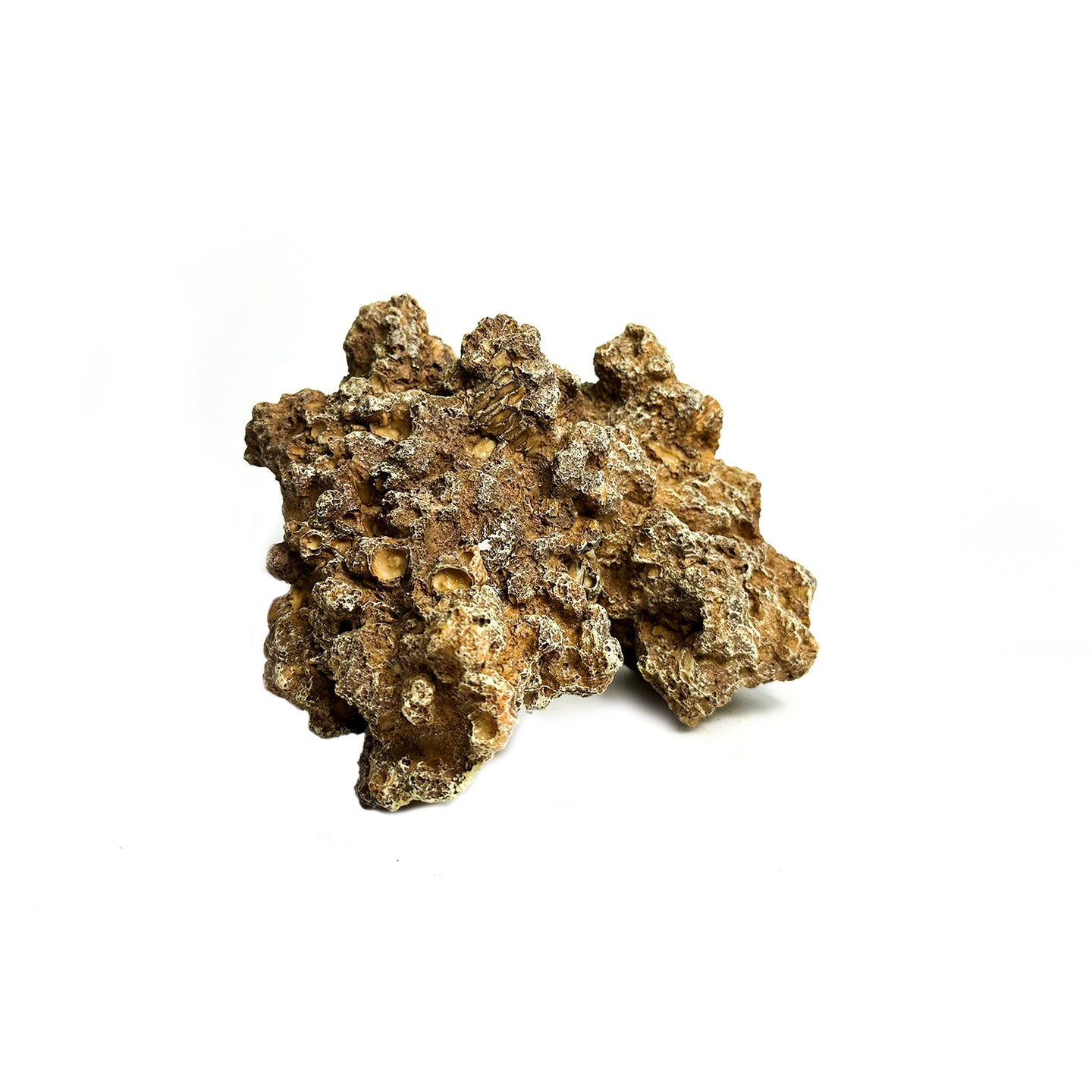 Natuurgetrouw decoratief ornament in de vorm van een Moon Steen, geschikt voor aquariums. De afmetingen zijn 24 x 23 x 14 cm. Dit zandkleurige ornament voegt een realistisch en natuurlijk element toe aan je onderwateromgeving, ideaal voor tropische aquaria.
