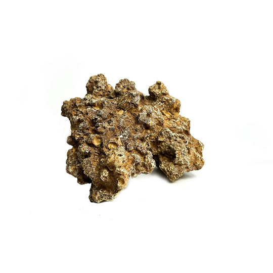 Natuurgetrouw decoratief ornament in de vorm van een Moon Steen, geschikt voor aquariums. De afmetingen zijn 24 x 23 x 14 cm. Dit zandkleurige ornament voegt een realistisch en natuurlijk element toe aan je onderwateromgeving, ideaal voor tropische aquaria.