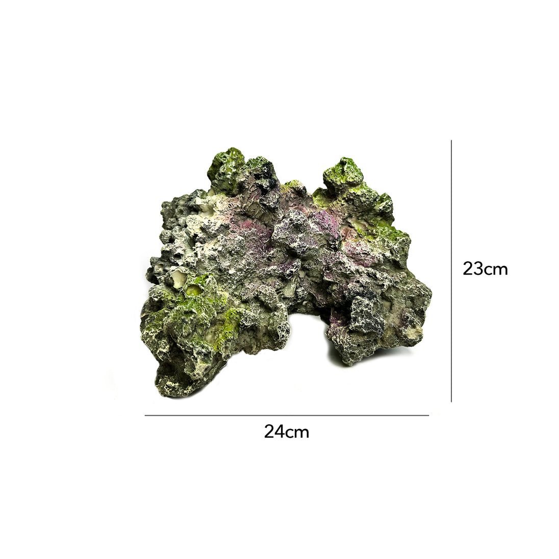 Natuurgetrouw decoratief ornament in de vorm van een Moon Steen, geschikt voor aquariums. De afmetingen zijn 24 x 23 x 14 cm. Dit ornament voegt een realistisch en kleurrijk element toe aan je onderwateromgeving, ideaal voor tropische aquaria.