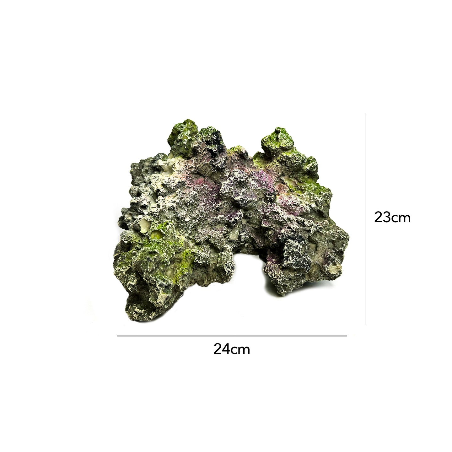 Natuurgetrouw decoratief ornament in de vorm van een Moon Steen, geschikt voor aquariums. De afmetingen zijn 24 x 23 x 14 cm. Dit ornament voegt een realistisch en kleurrijk element toe aan je onderwateromgeving, ideaal voor tropische aquaria.