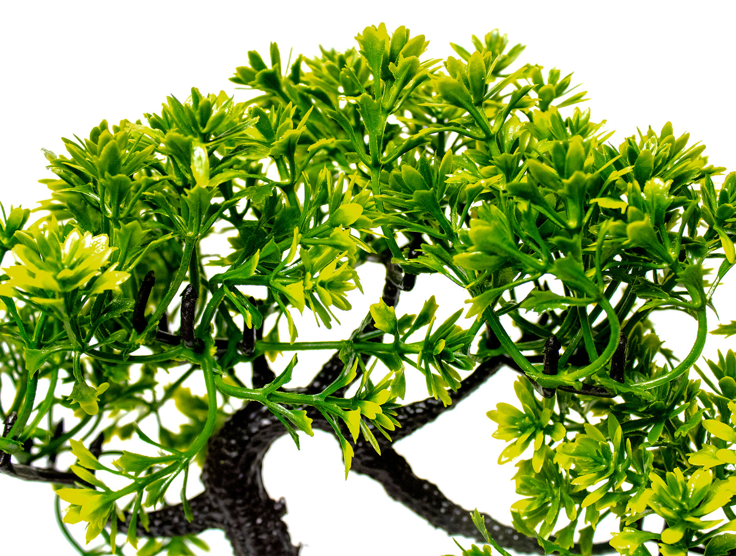 Aquarium Kunstplant Japanse Boom (21cm x 15cm) - Realistische Decoratieve Kunstplant voor Aquarium en Terrarium - Hoogwaardige Kunstplant voor Onderwater en Terrestrische Toepassingen