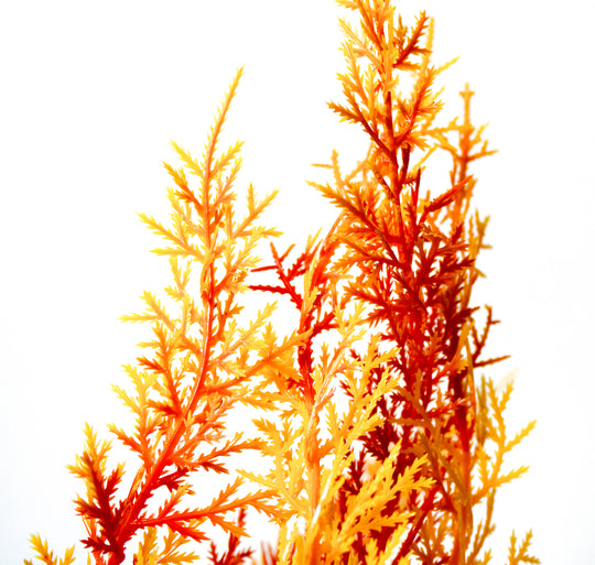 Realistische Aquarium Kunstplant Myriophyllum Rood - 30 cm - Aquariumdecoratie - Levendige Rode Plant - Koop Nu voor Een Betoverend Onderwaterlandschap!