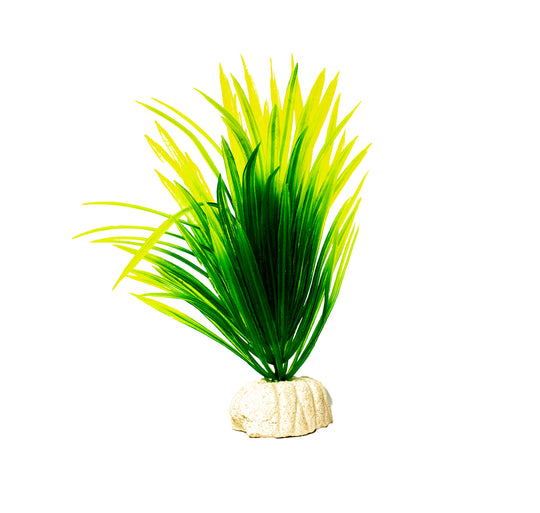 "Alt-tekst: Een realistische simulatie van watergras, een plastic plant van 11 cm hoog, ontworpen als aquariumlandschapsdecoratie. Voegt een natuurlijk ogende en levendige uitstraling toe aan het aquarium, terwijl het de ideale schuilplaats biedt voor vissen. Gemaakt van duurzaam plastic voor langdurig gebruik in zoet- en zoutwateraquaria.