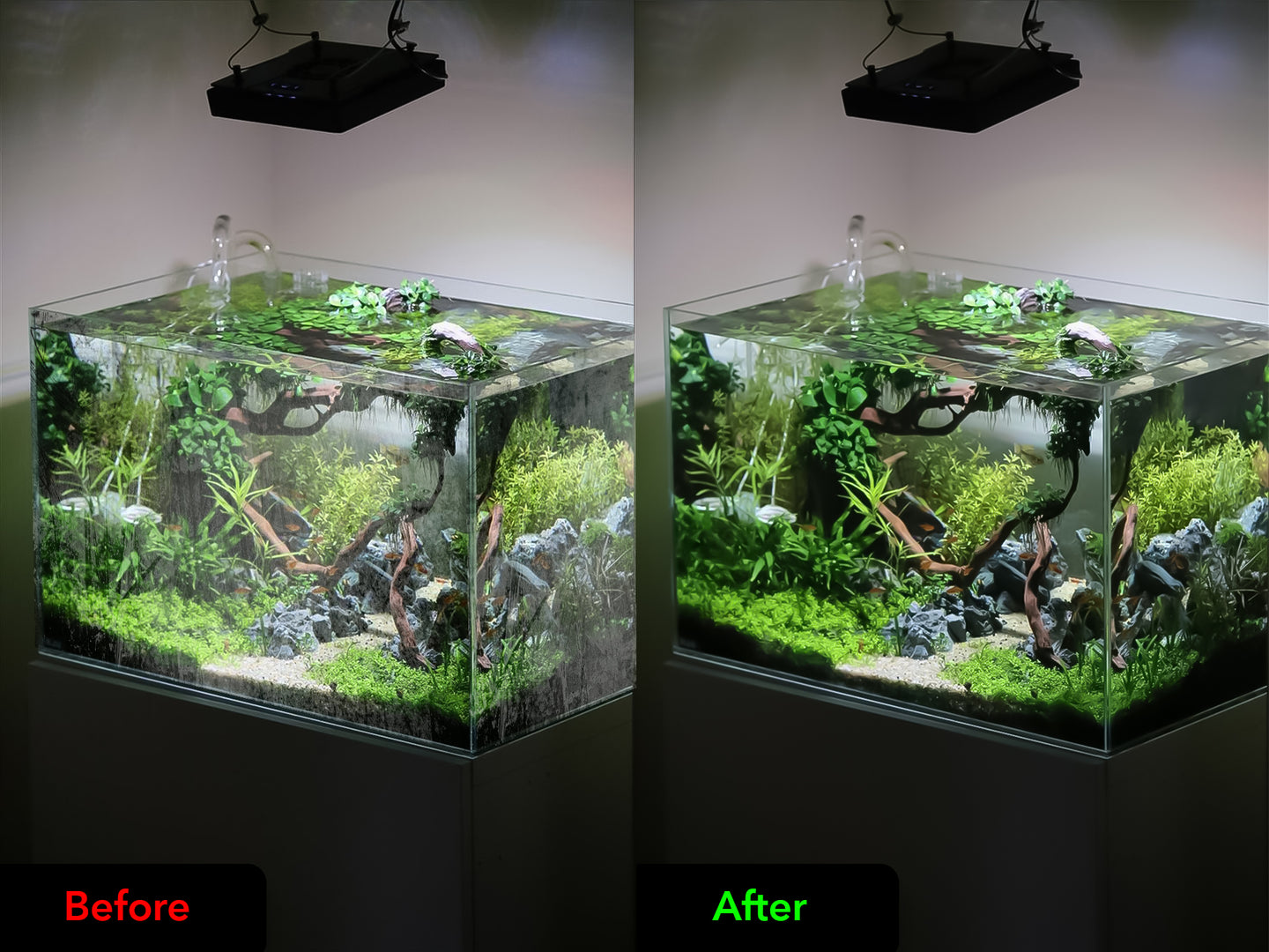 Een aquarium schoonmaakborstel met een spons voor het reinigen van ramen en het verwijderen van algen. Deze handige borstel is perfect voor het onderhouden van een helder en schoon aquarium. Geschikt voor zowel glazen als acryl aquaria.