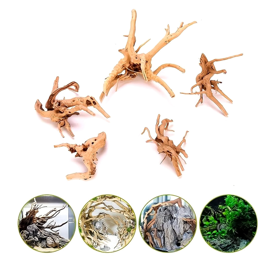Aquarium Spiderwood (M) - Driftwood - Natuurlijke Houten Decoratie voor Je Aquarium - Uniek en Sfeervol - Koop Nu voor een Prachtig Onderwaterlandschap!