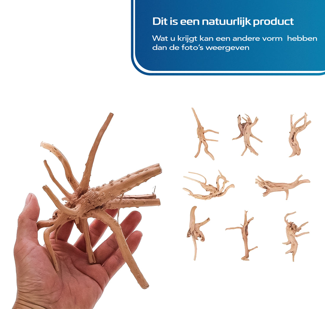 Aquarium Spiderwood (M) - Driftwood - Natuurlijke Houten Decoratie voor Je Aquarium - Uniek en Sfeervol - Koop Nu voor een Prachtig Onderwaterlandschap!